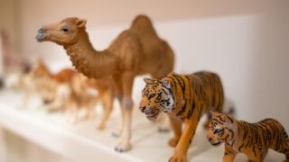 シュライヒから広がる動物の世界｜4歳のわが家の遊び方