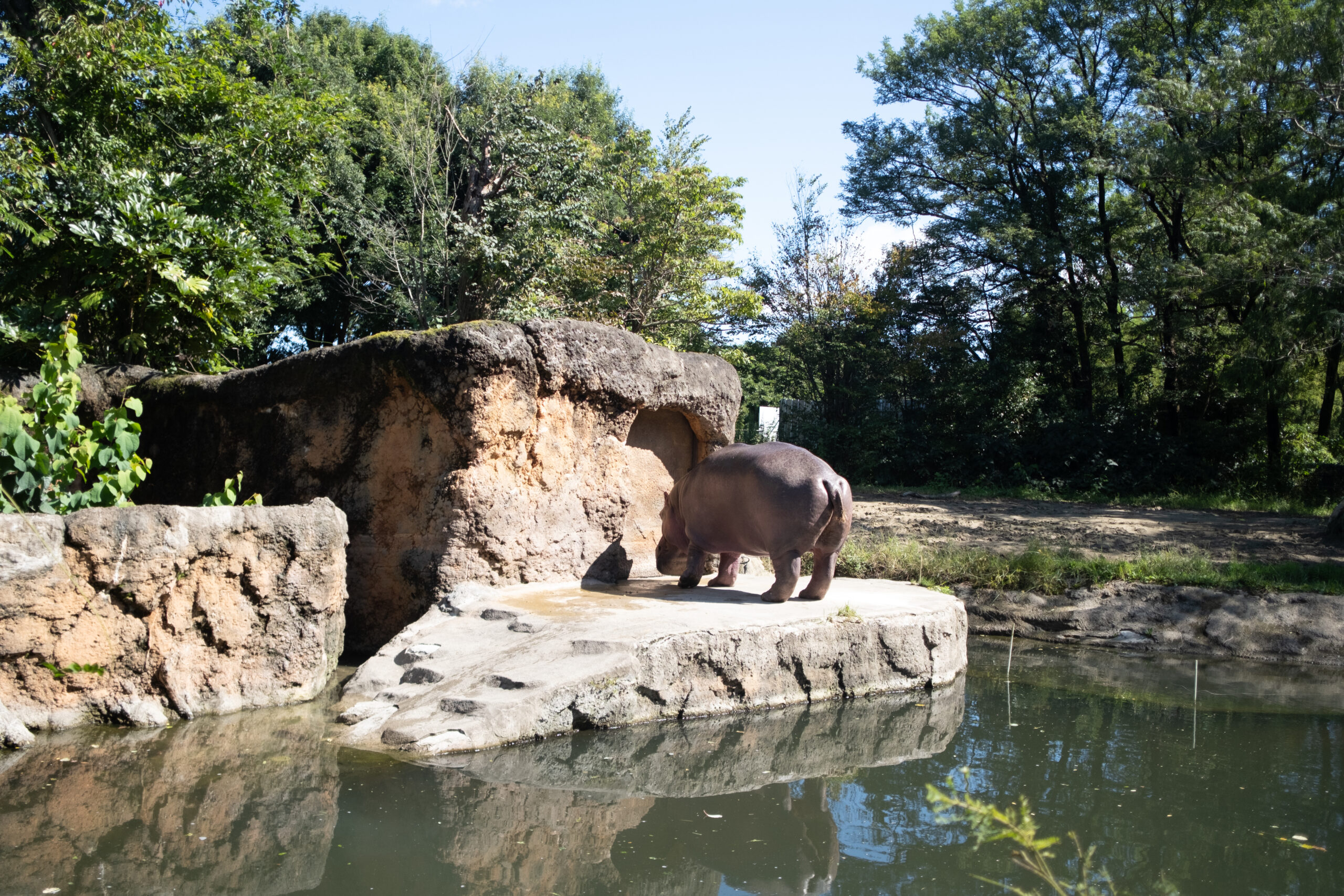 いくぞ！東北の動物園。「仙台・八木山動物公園フジサキの杜」編